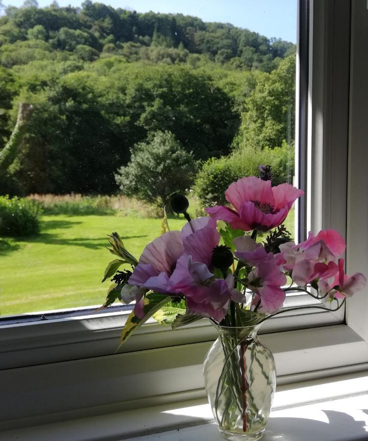 Wray Valley Мортънхампстед Екстериор снимка