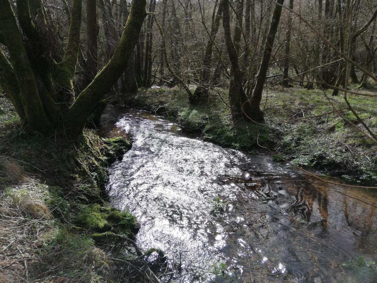 Wray Valley Мортънхампстед Екстериор снимка