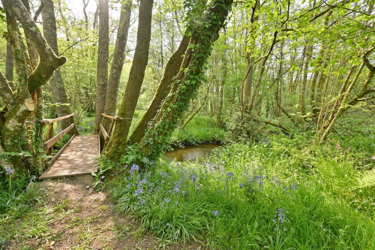 Wray Valley Мортънхампстед Екстериор снимка